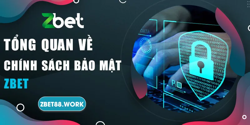 Tổng quan về chính sách bảo mật zbet