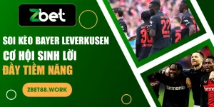 soi kèo bayer leverkusen